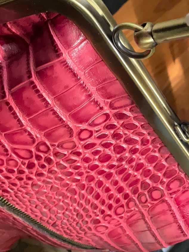 Beautiful Brand New Pet Nash Without Tags Crossbody Inside